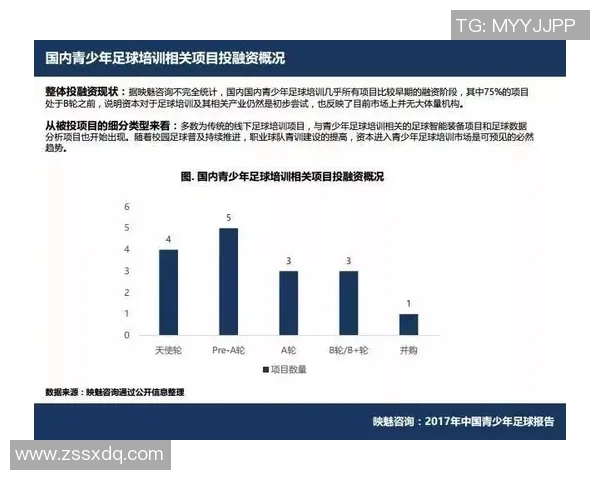 杭州足球队技术表现深度数据分析与战术探讨 杭州足球队技术表现深度数据分析与战术探讨