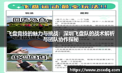 飞盘竞技的魅力与挑战：深圳飞盘队的战术解析与团队协作探秘