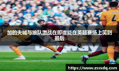 加的夫城与狼队激战在即谁能在英超赛场上笑到最后