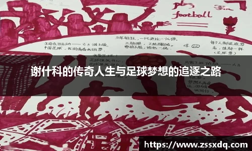 谢什科的传奇人生与足球梦想的追逐之路